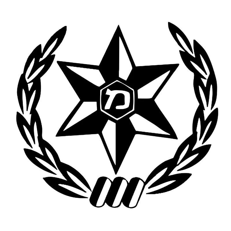 Car Sticker  Die-cut Vinyl Dec - Car Accessories Nz 评论和价格