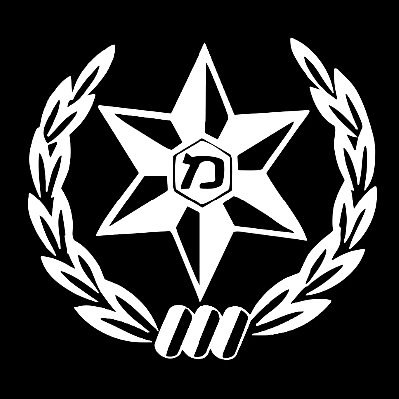 Car Sticker  Die-cut Vinyl Dec - Car Accessories Nz 评论和价格